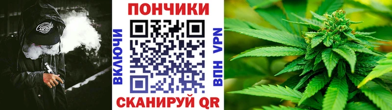 Конопля Amnesia  как найти закладки  Мценск 